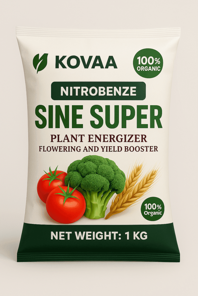 Công ty sản xuất bao bì giá rẻ – Giải pháp tối ưu chi phí